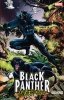 BLACK PANTHER PANTHERS QUEST TP [9781302908034]